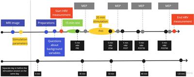 The effect of paired associative stimulation with a high-intensity cortical component and a high-frequency peripheral component on heart rate and heart rate variability in healthy subjects